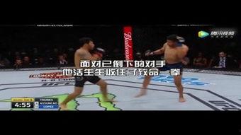 拳王全集在线观看,激战巅峰,热血沸腾的拳击传奇 第3张 拳王全集在线观看,激战巅峰,热血沸腾的拳击传奇 第3张